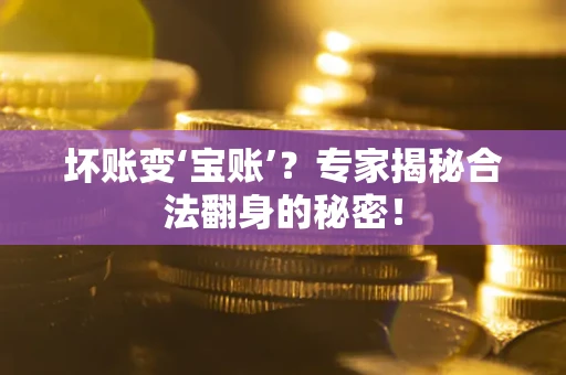 北京坏账变‘宝账’？专家揭秘合法翻身的秘密！