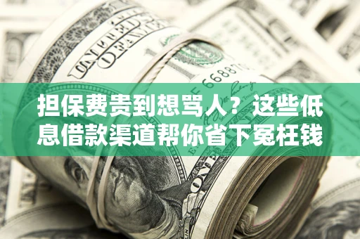 北京担保费贵到想骂人？这些低息借款渠道帮你省下冤枉钱