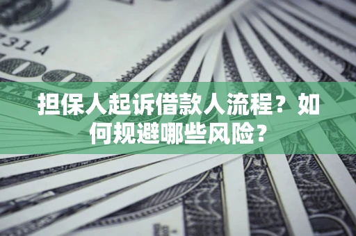北京担保人起诉借款人流程？如何规避哪些风险？