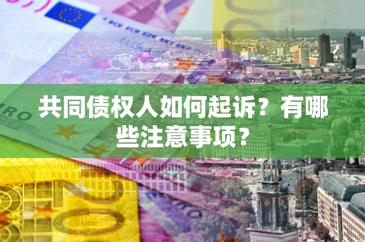 北京共同债权人如何起诉？有哪些注意事项？